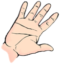 Palm